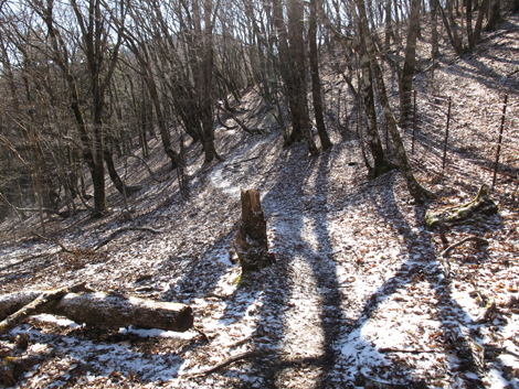 20181214hike (204)